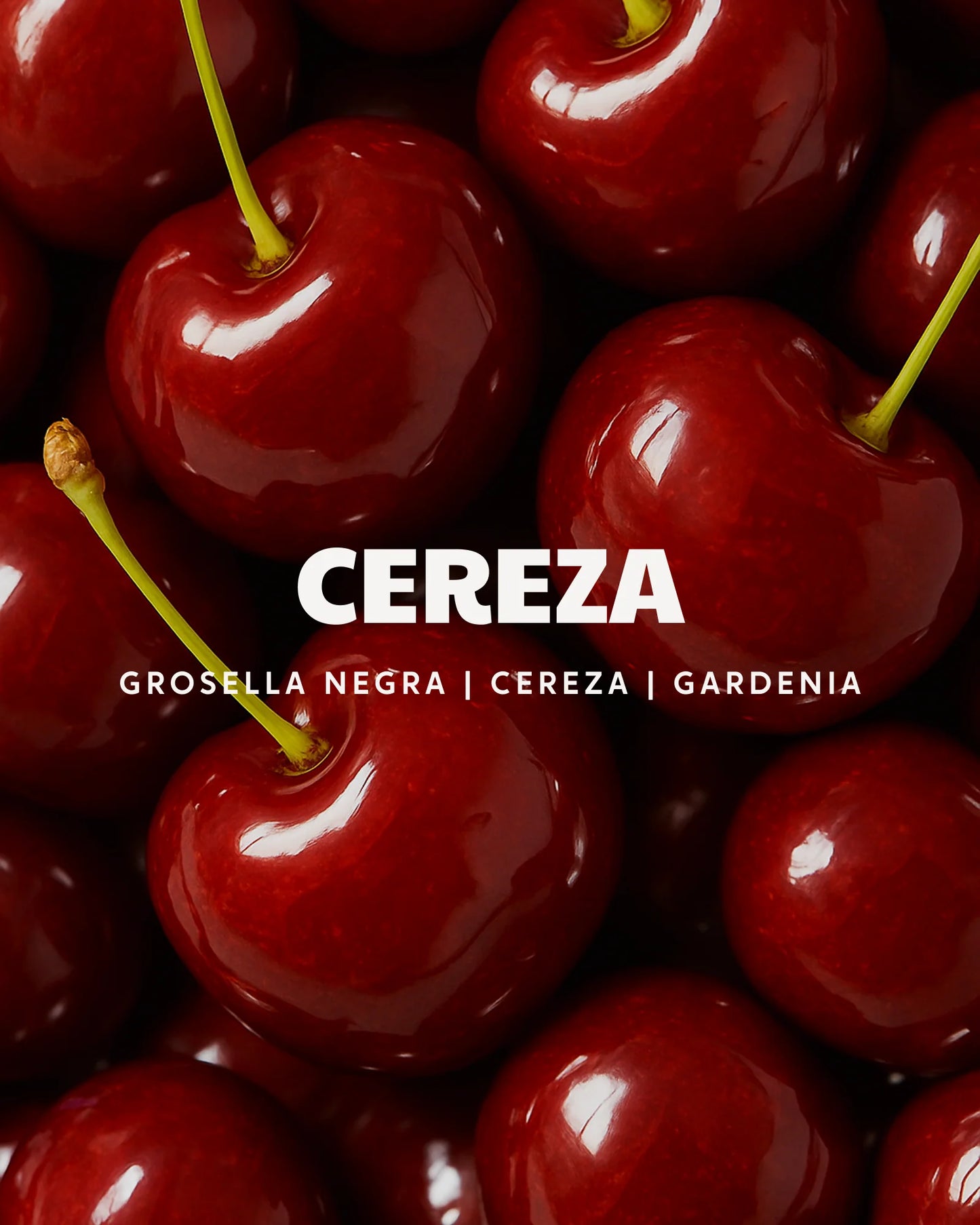 Vela trendy Cereza