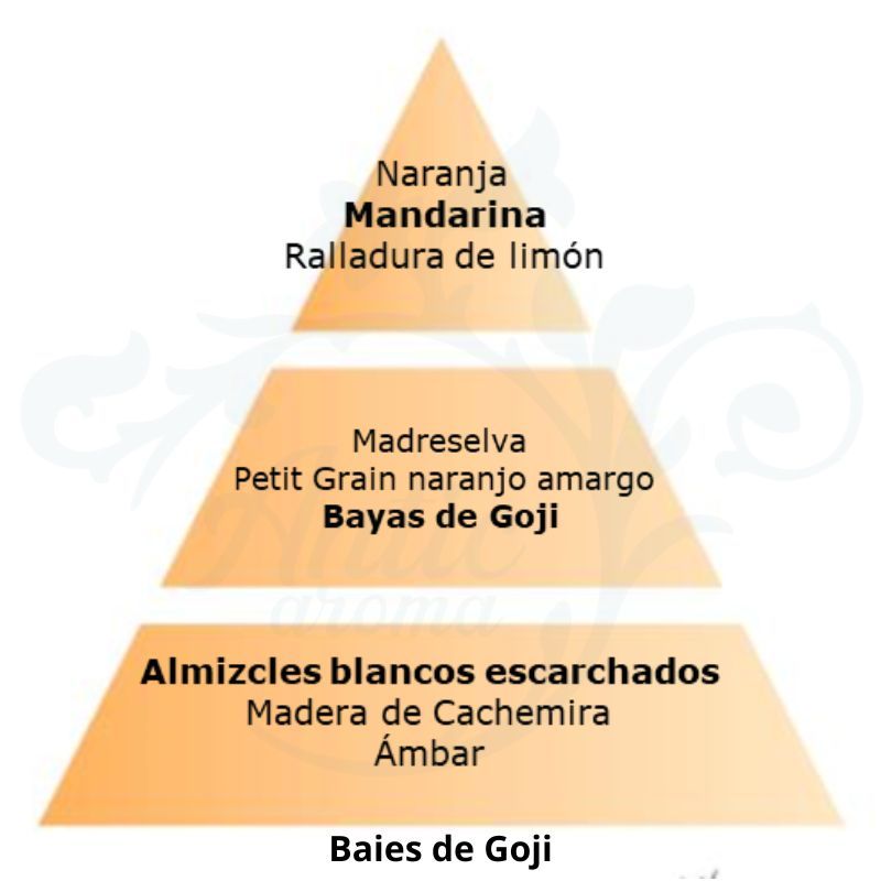 PERFUME BAIES DE GOJI 500ML