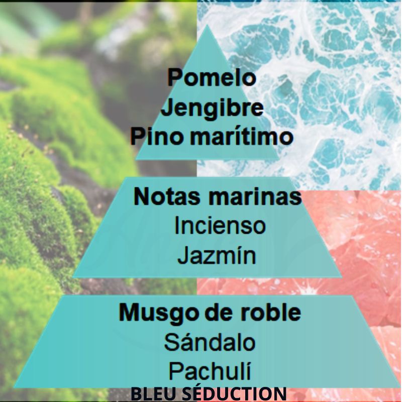 PERFUME BLEU SEDUCTION 1L