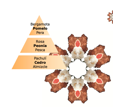 PERFUME DOUCEUR DE PAMPLEMOUSSE  500ml