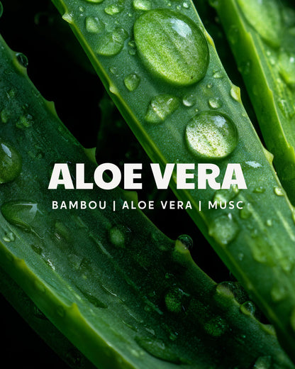 Vela trendy Aloe Vera- aroma muy fresco