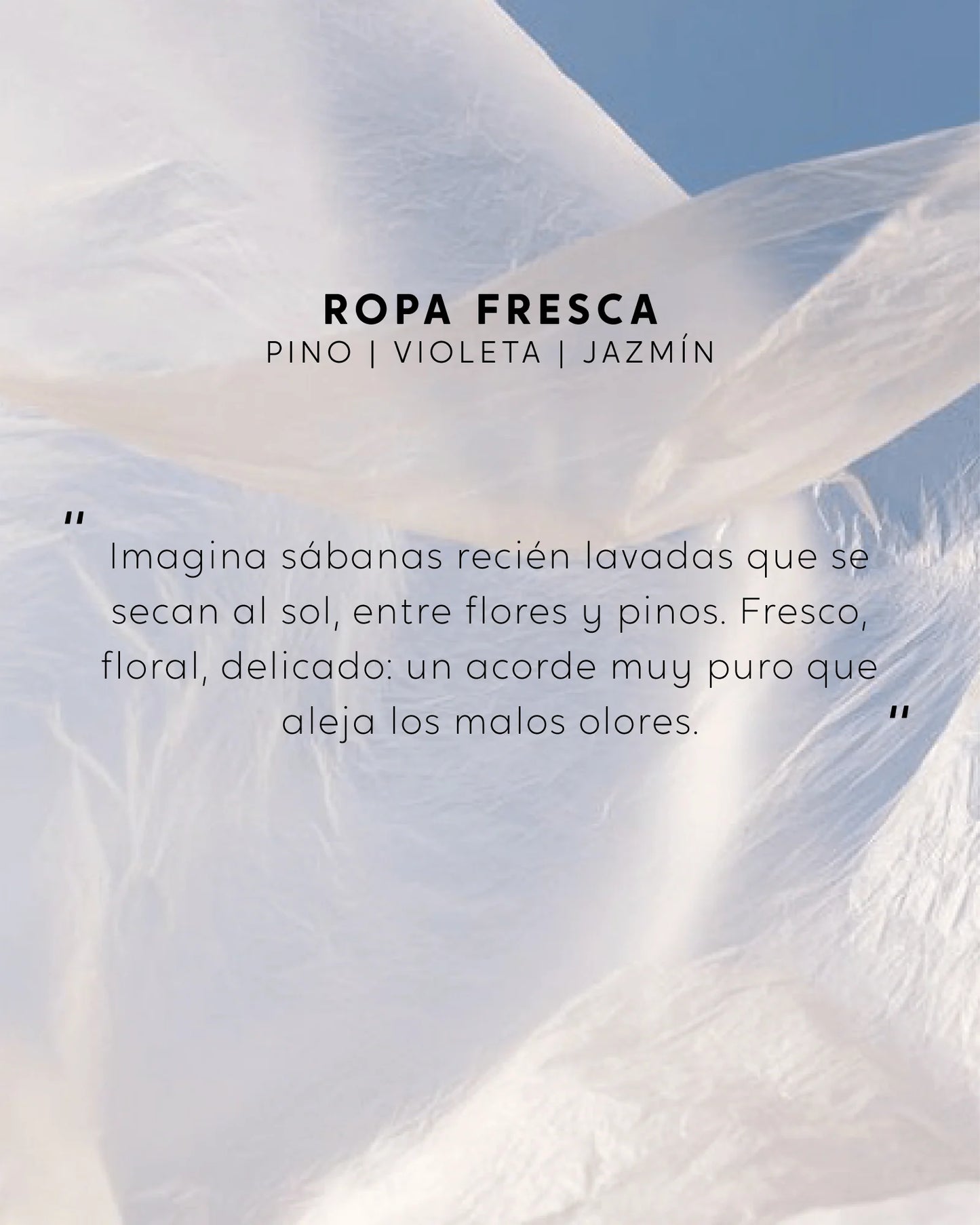 VELA CON JOYA - ROPA FRESCA