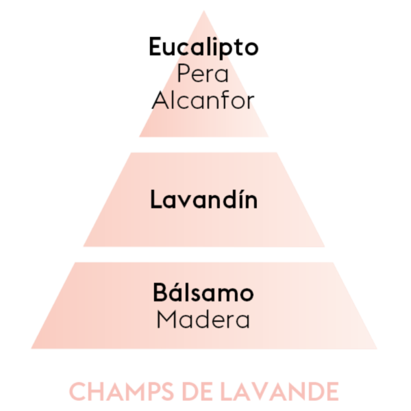 PERFUME CHAMPS DE LAVANDE 500ML