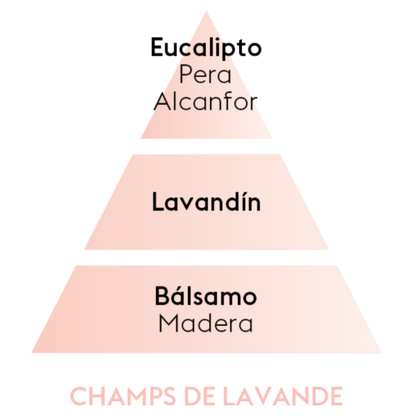 PERFUME CHAMPS DE LAVANDE 500ML