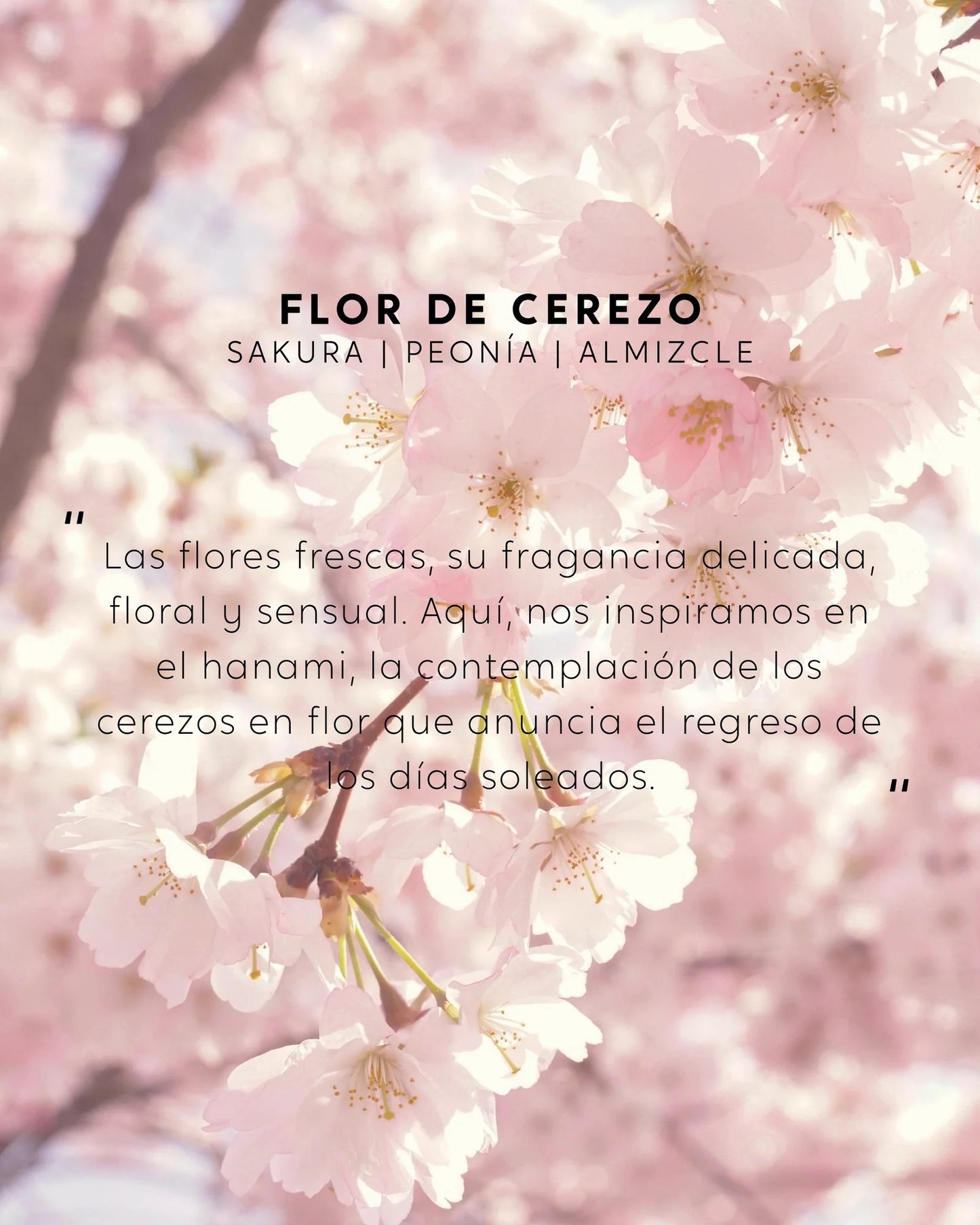 Spray perfumado Flor de Cerezo 100ml