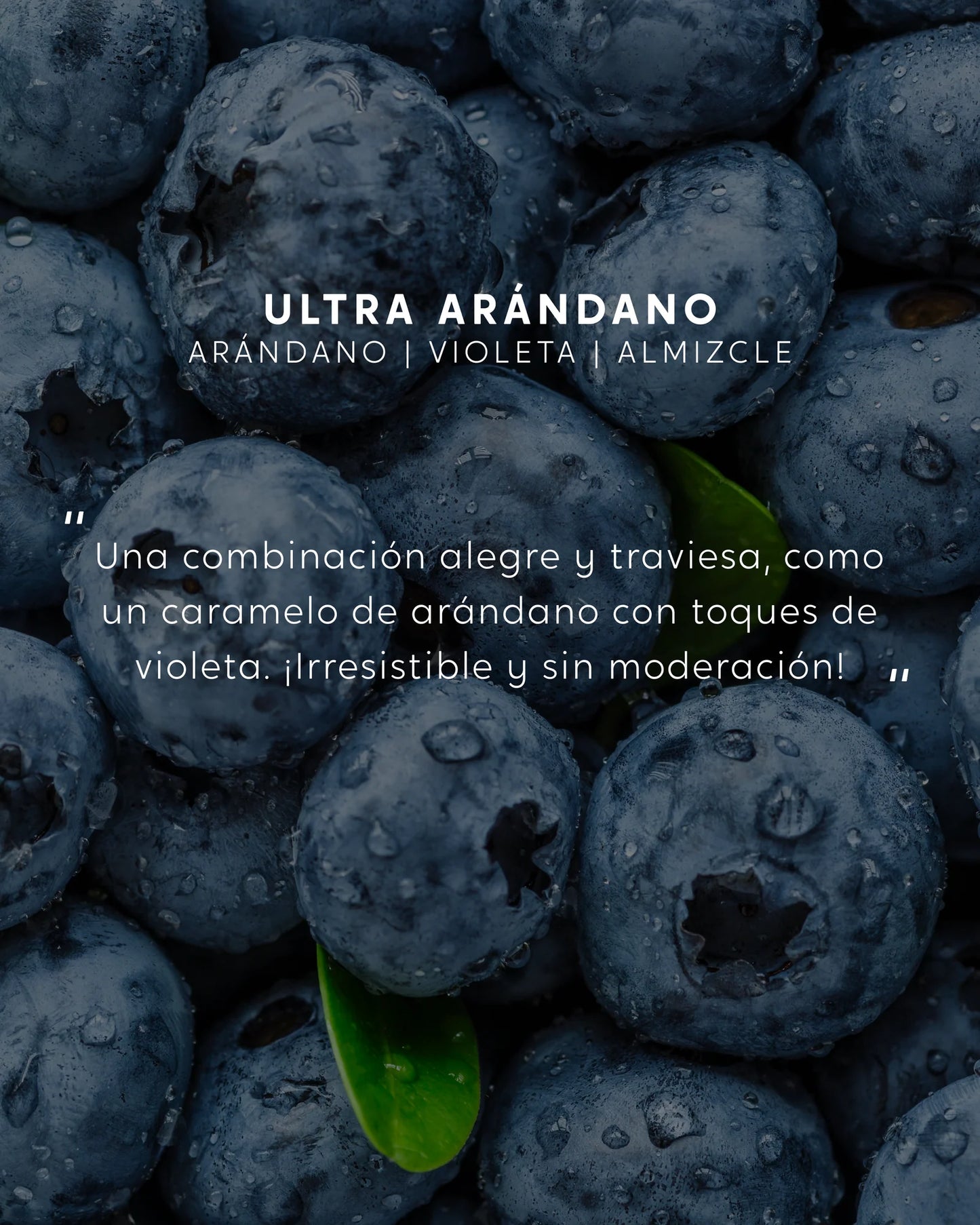 Spray perfumado Ultra Arándano 100ml
