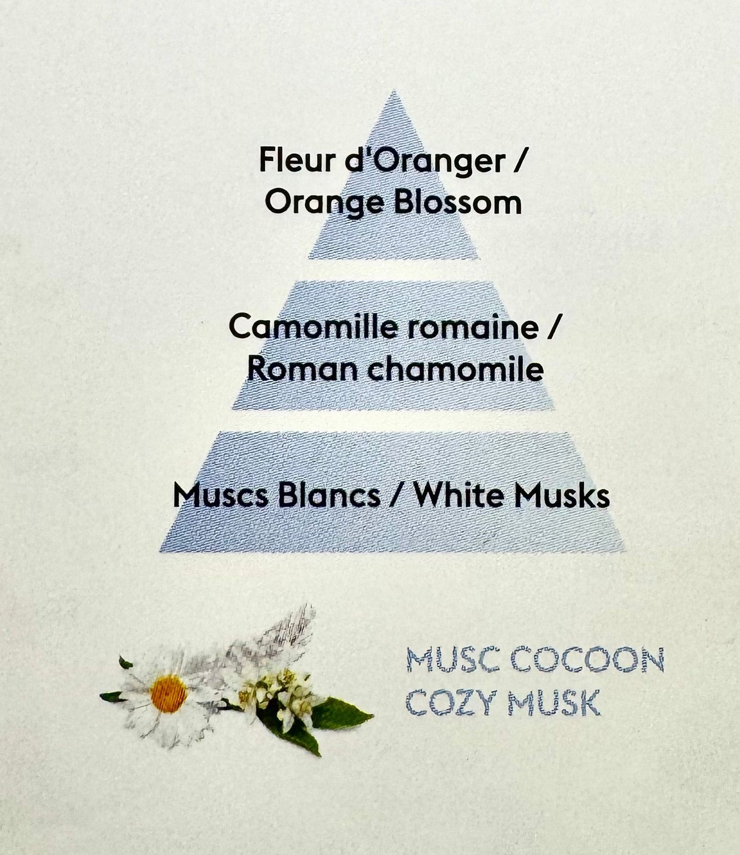 PERFUME DEL MES -MUSC COCOON 1L