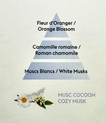 PERFUME DEL MES -MUSC COCOON 1L